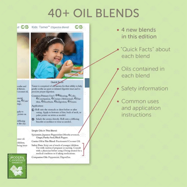 Modern Essentials Handbook - 17th Edition - EOS UK