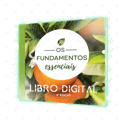 Foreign Language Portuguese